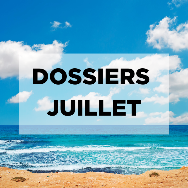 Stratégies – Visuel WordPress